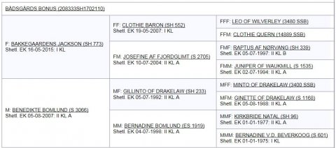 Bådsgårds Bonus's afstamning