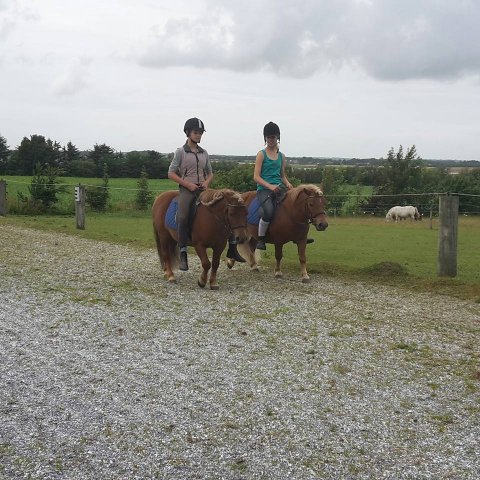 Maki og Baron under rytter