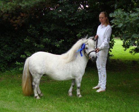 Tøttrups Bernadina Tøttrups Bernadina