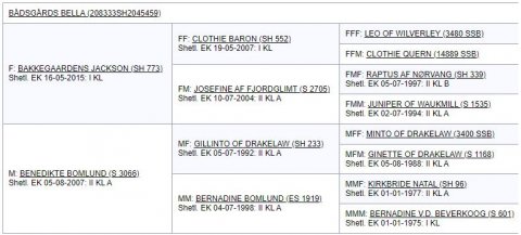 Afstemning Bådsgårds Bella