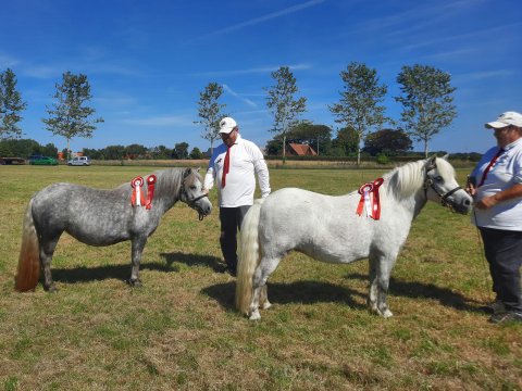 Bådsgårds Juvel og Bådsgårds Coco