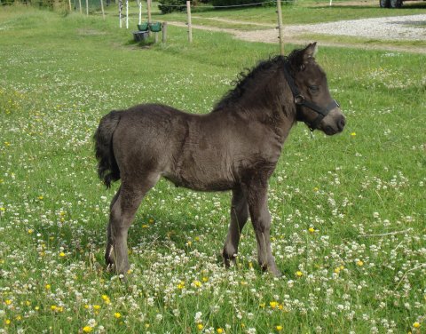 Babys baby Babys baby