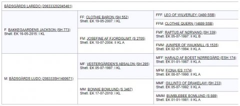 Bådsgårds Laredo - Afstemning