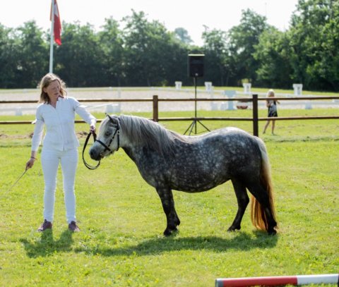 Bådsgårds Fabiola - kåring 2021