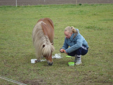 Skovlundens Áki SH 283