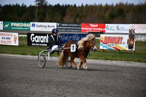 Bådsgårds Beauty og Laurits