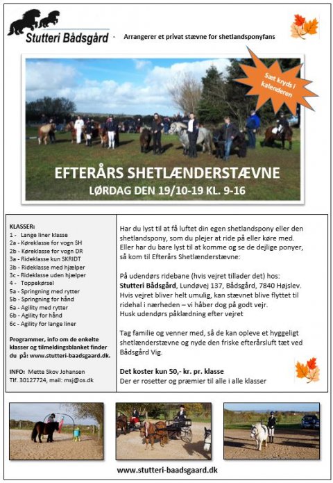 Efterårs shetlænderstævne 2019