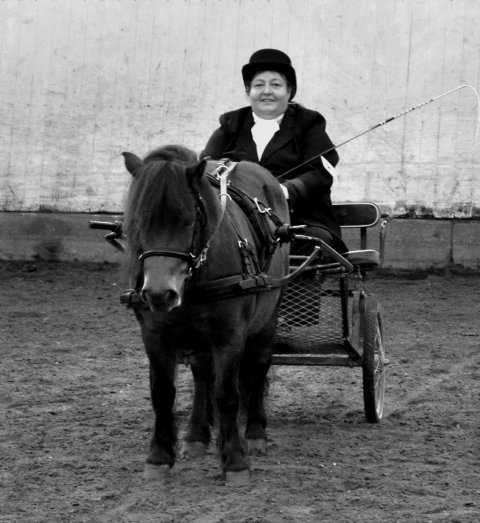 Bådsgårds Baby for vogn