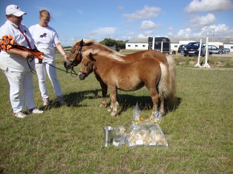 Bådsgårds Babushka