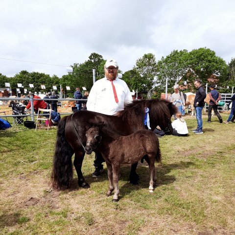 Bådsgårds Betty og føllet Bådsgårds Amigo