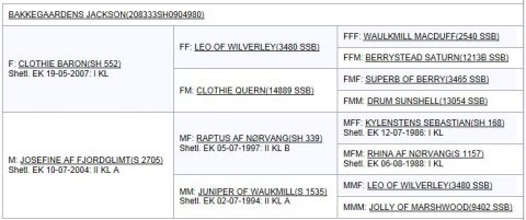 Afstamning - Jackson