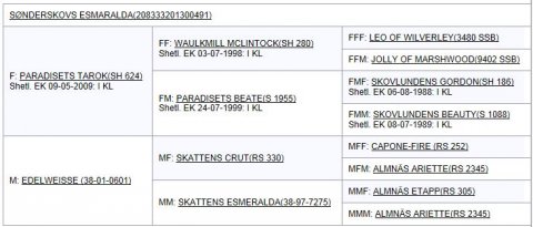 Afstamning - Sønderskovs Esmaralda