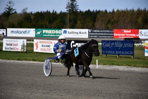 Bådsgårds Bacardi og Emil