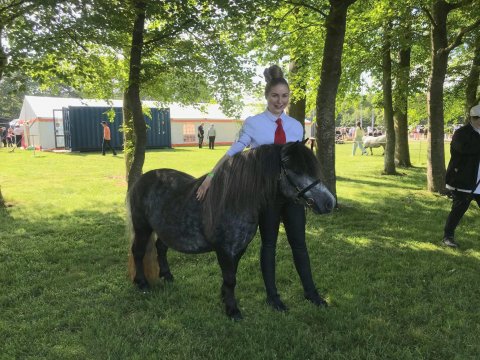 Bådsgårds Daisy og Emmeli