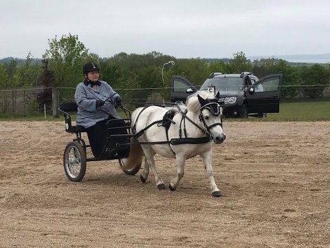 Pedersmindes Katarina