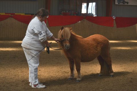 Bådsgårds Baronesse