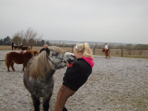 Prinsen og prinsessen