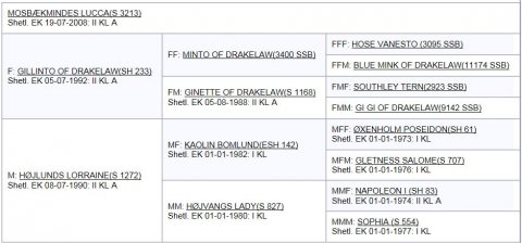 Mosbækmindes Lucca - Afstamning