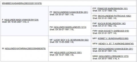 Afstamning - Krabbes Kasandra