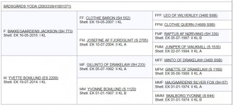 Bådsgårds Yoda's afstamning