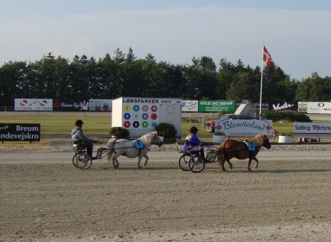 Merrylegs og Line på Travbanen 2011