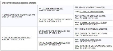 Afstamning - Bådsgårds Sigurd