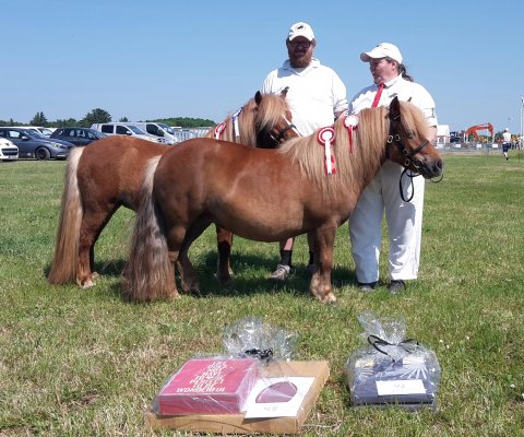 Bådsgårds Baronesse Lemvig dyrskue 2016