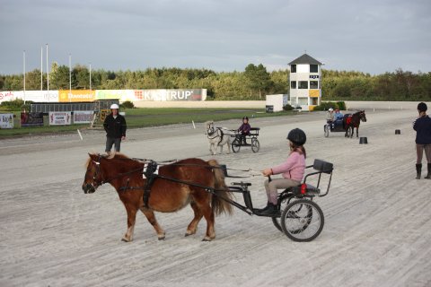 Ponytravskole