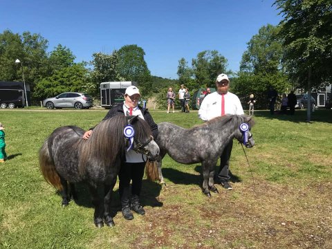 Bådsgårds Daisy og Bådsgårds Bella til Hobro dyrskue 2022