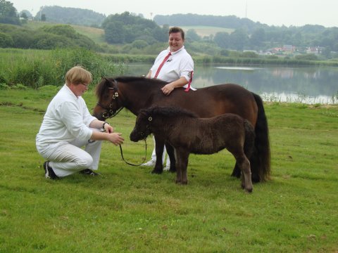Bådsgårds Baby og Bådsgårds Diva
