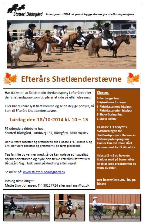 Shetlænderstævne - efterår 2014
