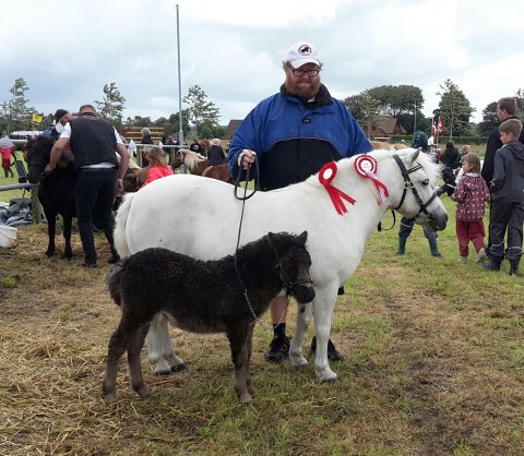 Skovlundens Julliet og Lille Jackpot
