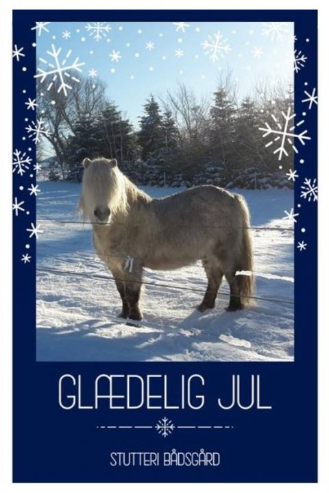 Glædelig jul og godt nytår