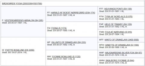 Bådsgårds Yoga's afstamning
