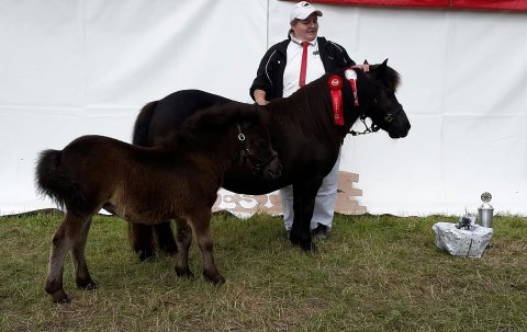 Bonnie Bomlund - 20 år - Thy-Mors Dyrskue i Thisted 2017