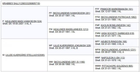 Afstamning - Krabbes Sally