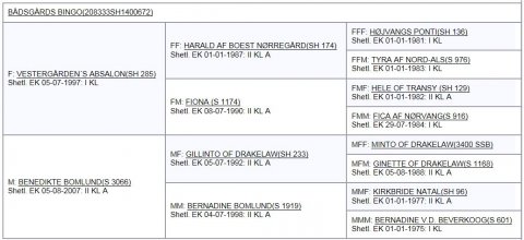 Bådsgårds Bingo - Afstamning