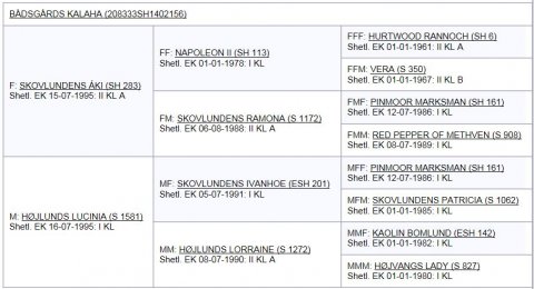 Bådsgårds Kalaha's afstamning
