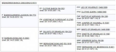 Afstamning Bådsgårds Bianca