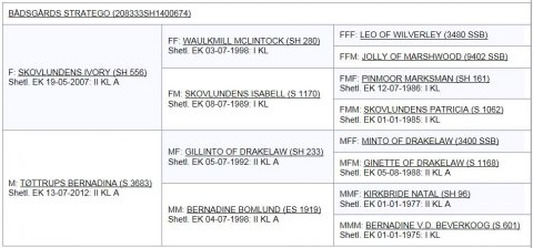 Bådsgårds Stratego's afstamning