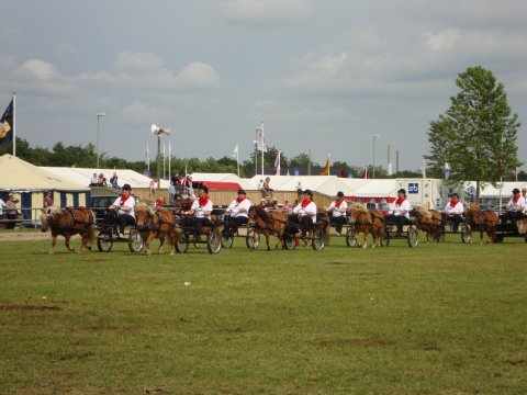 Showholdet til Landsskue Showholdet til Landsskue