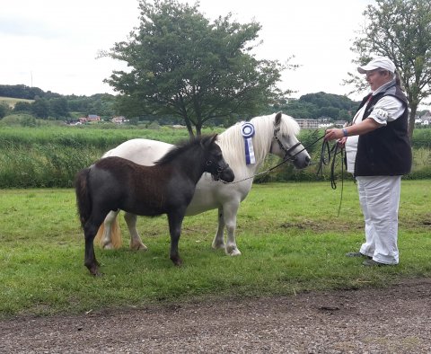 Benedikte Bomlund og Bådsgårds Bolero