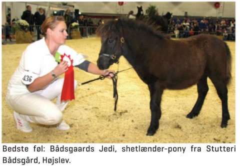 Bådsgårds Jedi - fra Landbrug Nord