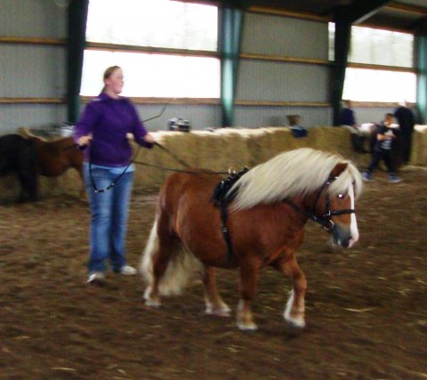Tøttrups Benzon og Nina Thybo træner Tøttrups Benzon og Nina Thybo træner