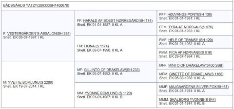 Bådsgårds Yatzy - Afstamning