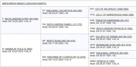 Bådsgårds Mikado's afstamning