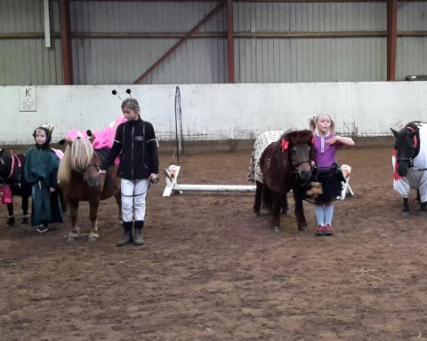 Bådsgårds Baronesse og Bådsgårds Baby