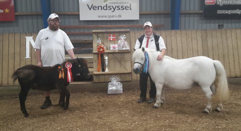 Bådsgårds Sudoku og Tøttrups Bernadina