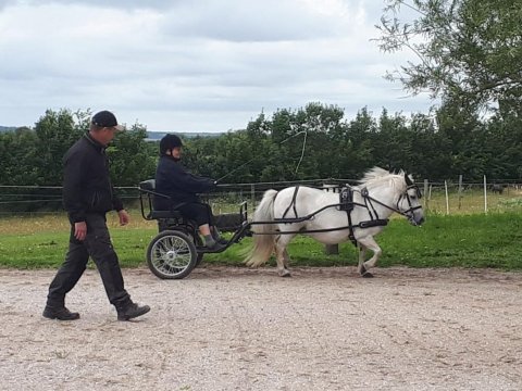 Undervisning ved Jeppe Seeforff