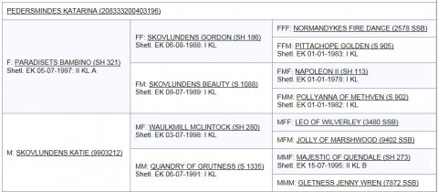 Pedersmindes Katarina's afstamning